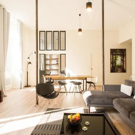 Appartement Symphonie By Cocoonr Toulouse